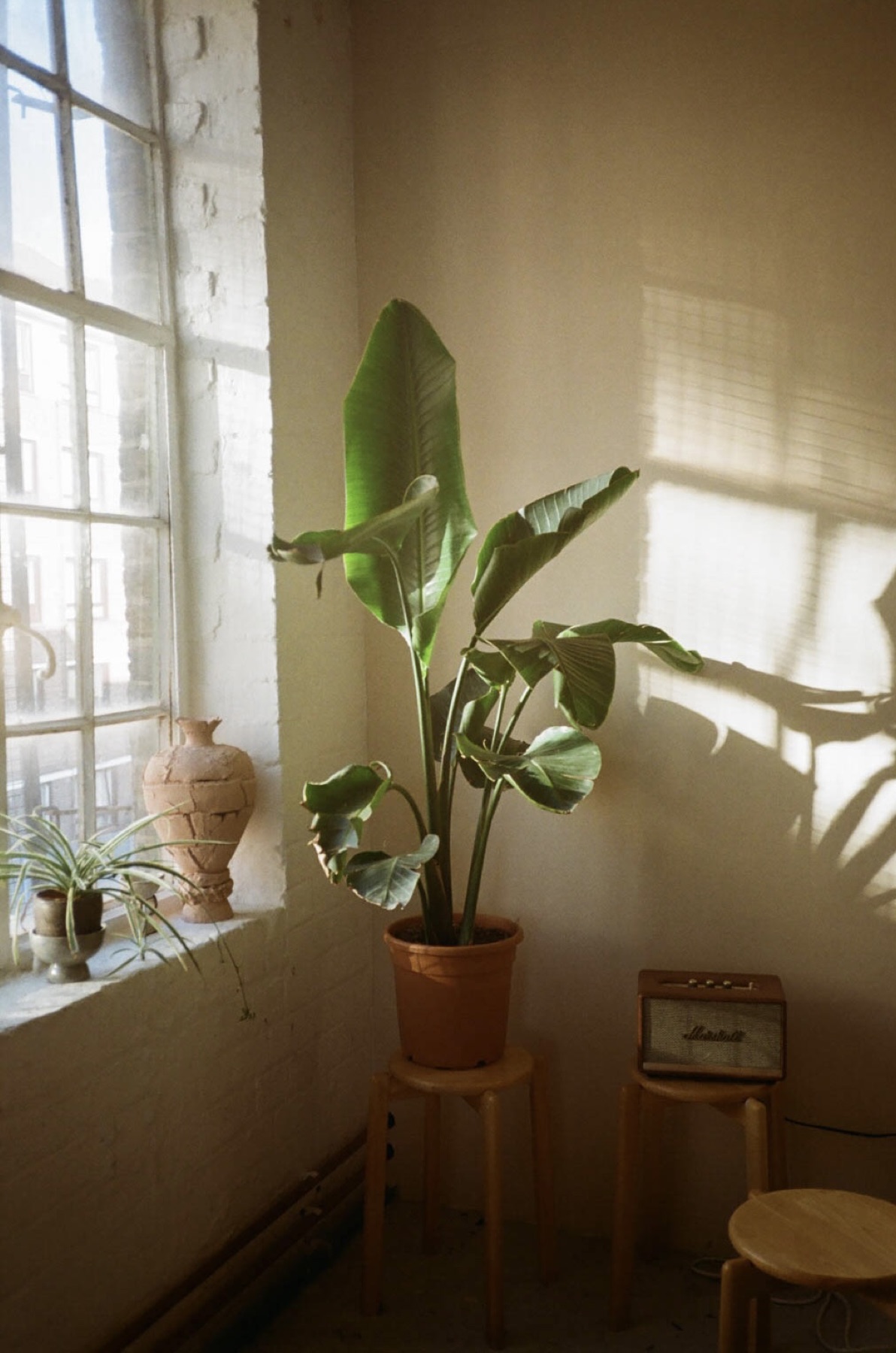 Daylight corner of the studio